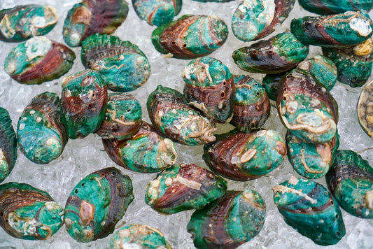 Purple Yam & New Zealand Green-Lipped Mussel - Welcome to the Family!