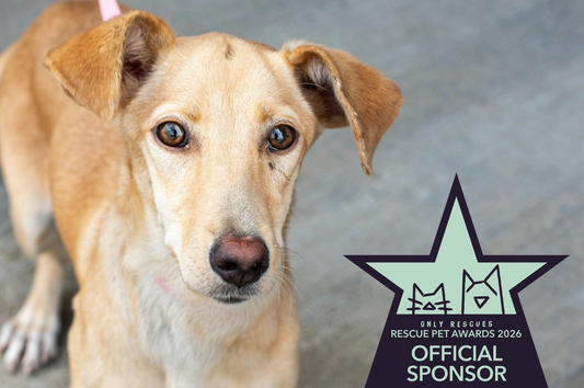 Rescue Pet Awards 2026