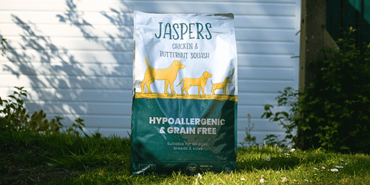 Chicken and Butternut squash dry dog food