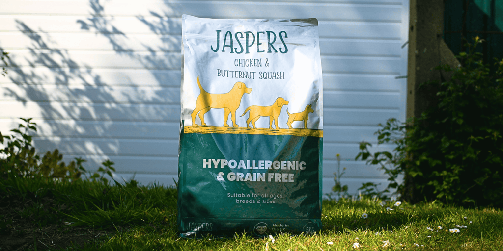 Chicken and Butternut squash dry dog food