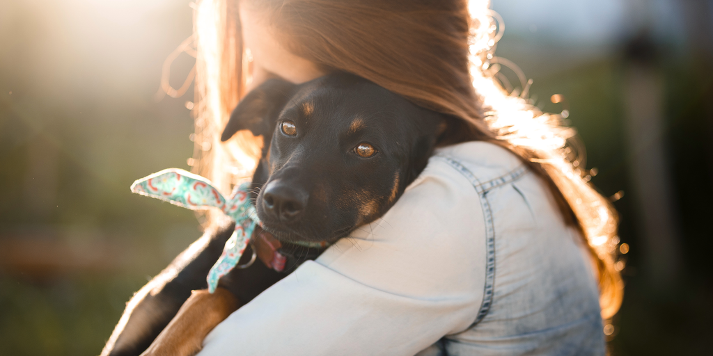 Dog and Owner hugging