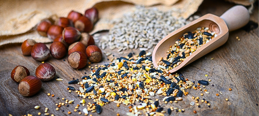 Wild bird feed
