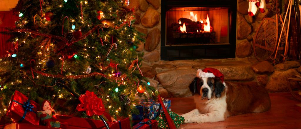 A festive scene showing a dog next to a Christmas tree and cosy fire