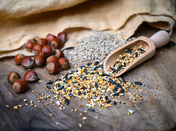 Wild Bird Feed