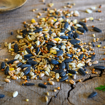 Premium Wild Bird Seed