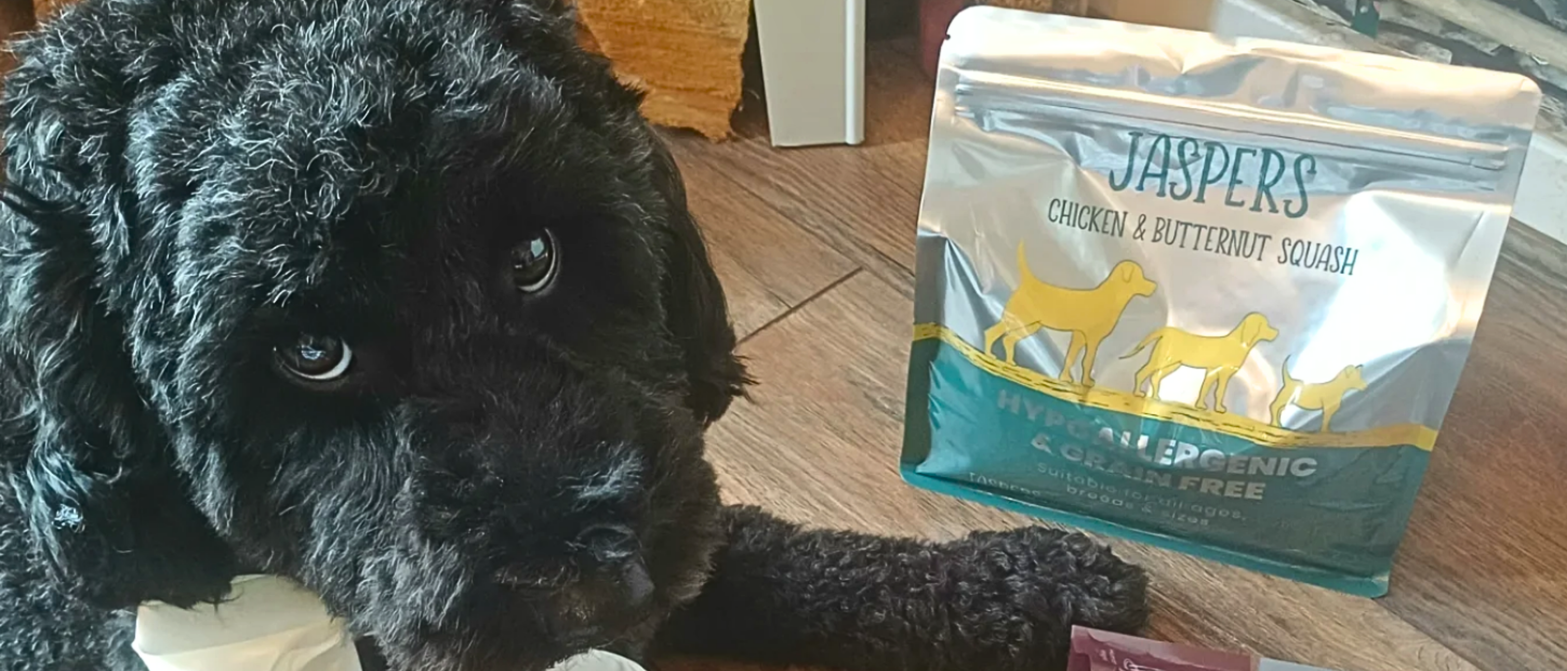 Image of a dog with review of the product