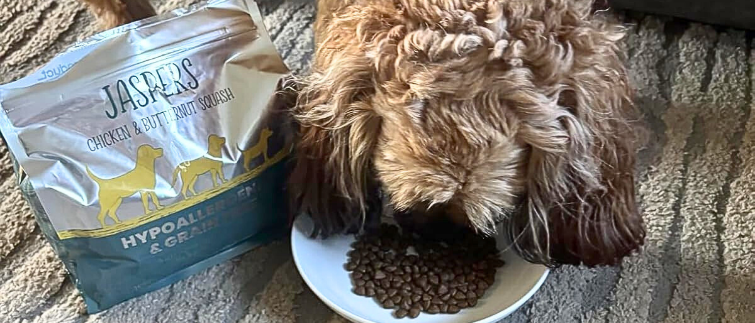 Image of a dog with review of the product