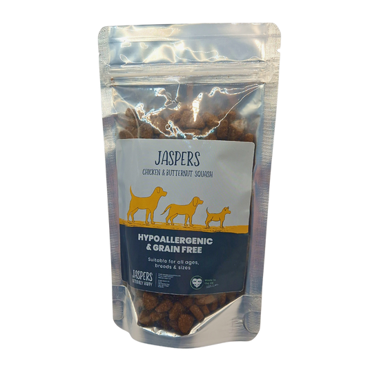 100g Trial Pack - Simply Jaspers Chicken & Butternut Squash