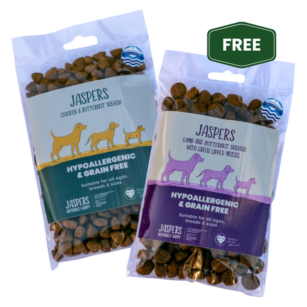 2 x 100g Trial Pack - Chicken & Butternut Squash & Lamb and Butternut squash