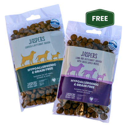2 x 100g Trial Pack - Chicken & Butternut Squash & Lamb and Butternut squash
