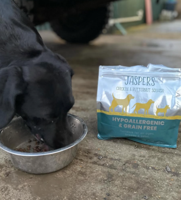 Dog eating Simply jaspers food