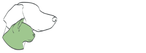 Simply Jaspers Ltd.