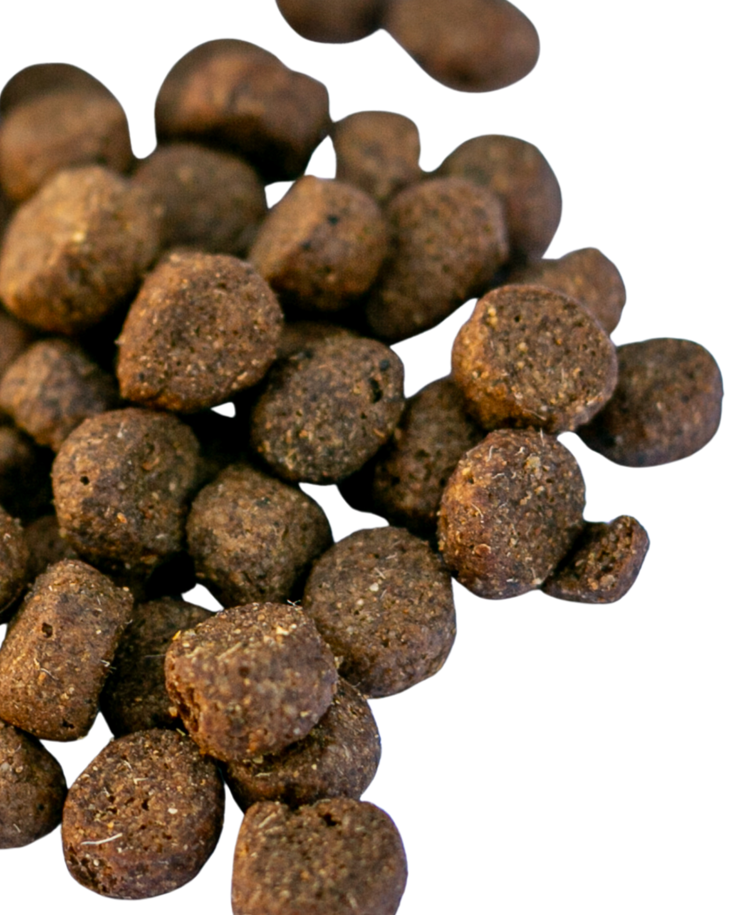 Simply Jaspers Lamb and Butternut squash with green lipped mussel