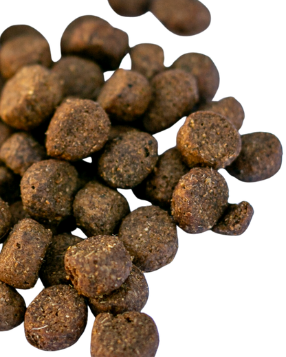 Simply Jaspers Lamb and Butternut squash with green lipped mussel