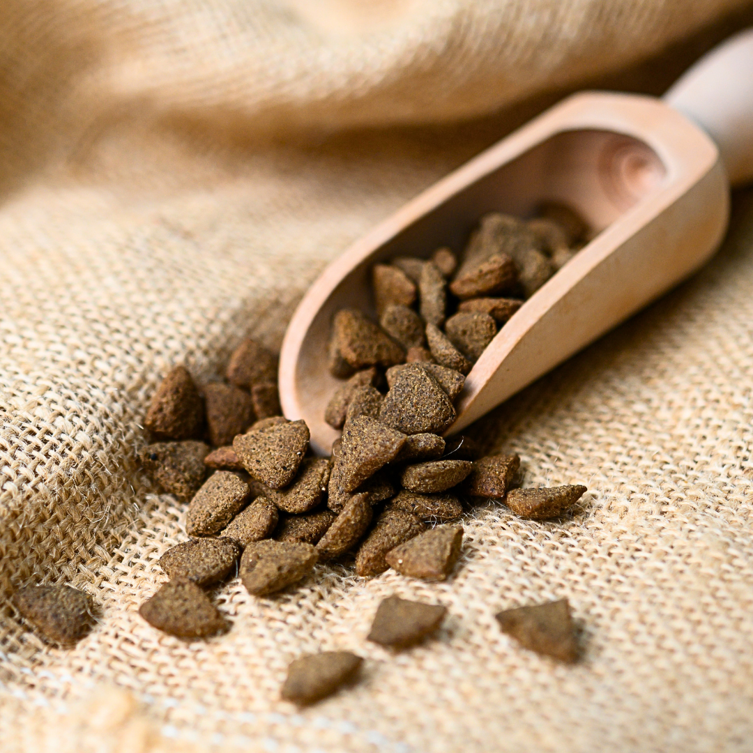 Simply Jaspers Chicken & Butternut Squash - Medium & Large Breed
