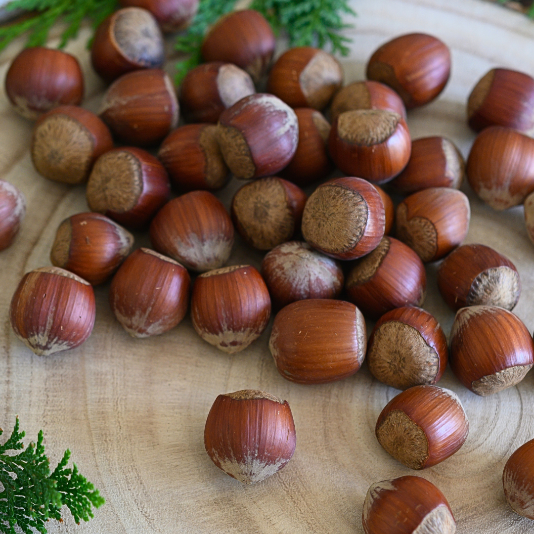 Hazelnuts